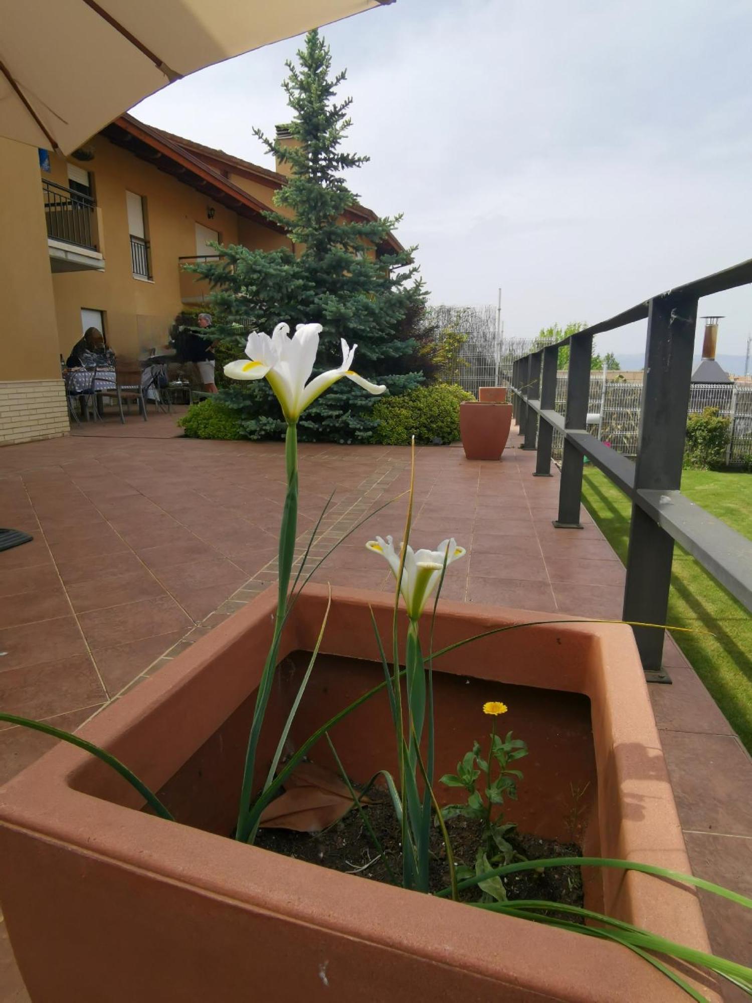 Estancia Con Jardin Entre Golf Y Monte - Cerca Logrono Sojuela Exterior foto